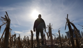 Homme dans un champ à contre-jour