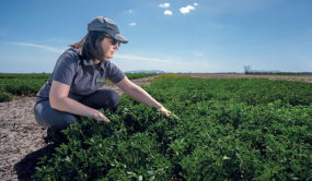 Agronome accroupie dans un champ