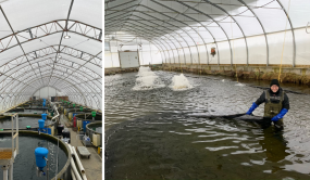 Photos d'aquaculture québécoise