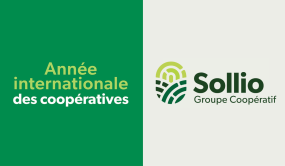 Visuel de l'Année internationale des coopératives