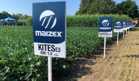 New brand image of Maizex Seeds