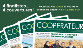 Visuel - Concours 4 couvertures