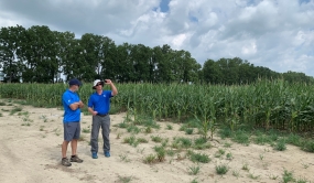 Two Maizex Seeds' employees discussing in front of a field