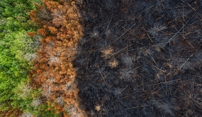 Fin d'un feu de forêt canadien