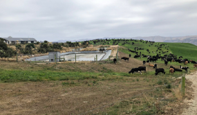 Fosse liquide de la ferme de Matt Ross