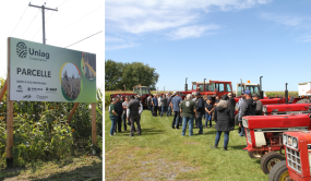 Parcelles Uniag Coopérative