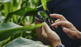 Expert-conseil utilisant son téléphone