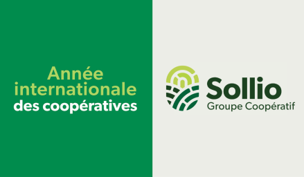 Visuel de l'Année internationale des coopératives