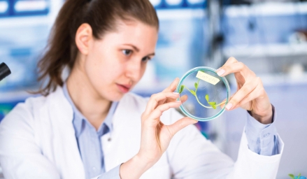 Scientifique analysant une plante
