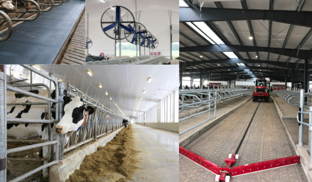 Mosaïque - Bâtiments agricoles