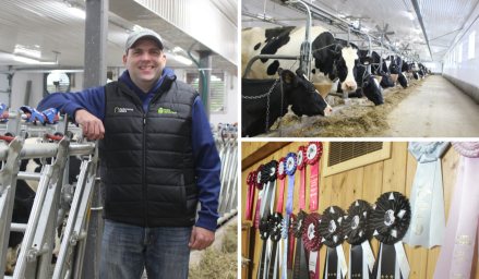 Jean-Pierre Breton avec ses vaches et ses prix