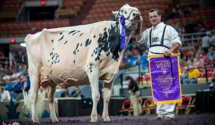 Photo de The Bullvine - Grande Championne et championne suprême