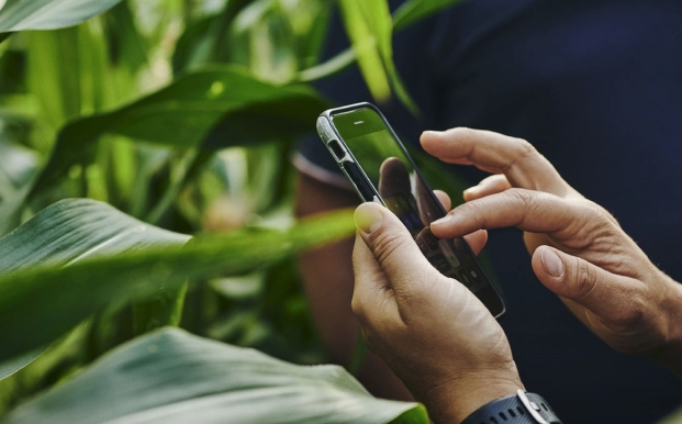 Expert-conseil utilisant son téléphone