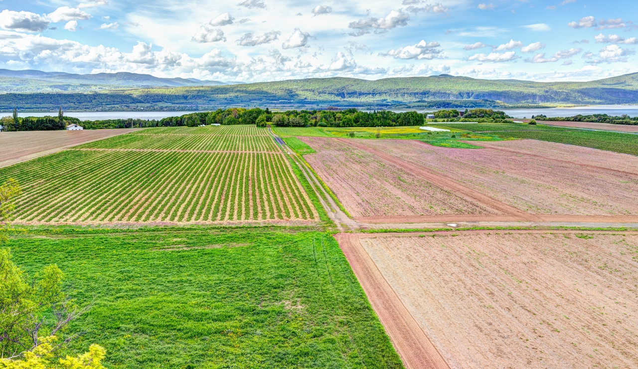 Financière agricole  des mesures de soutien supplémentaires  Coopérateur