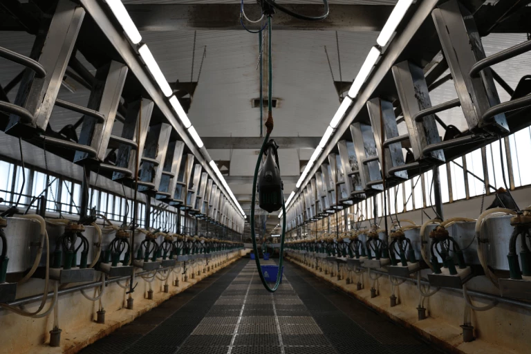 Salon de traite Double-30 herringbone de Stanton Farms