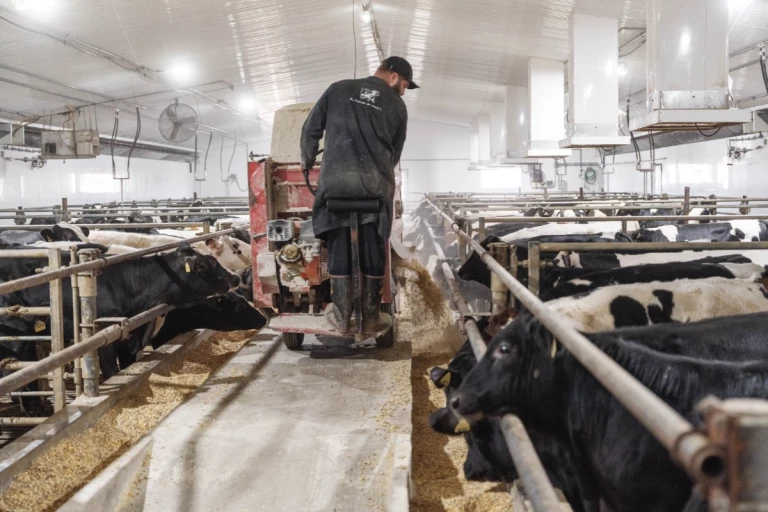 Michaël Lecours, de la Ferme Ste-Victoire