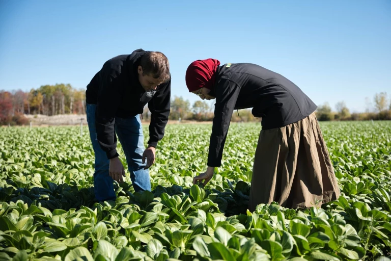 Samuel St-Jacques et Raja Massaoudi