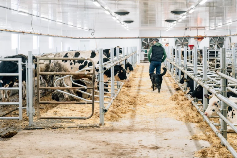 Samuel et un chien dans la Ferme M.B. Pelletier
