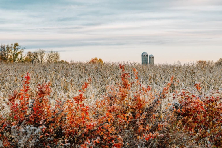 Paysage agricole en automne
