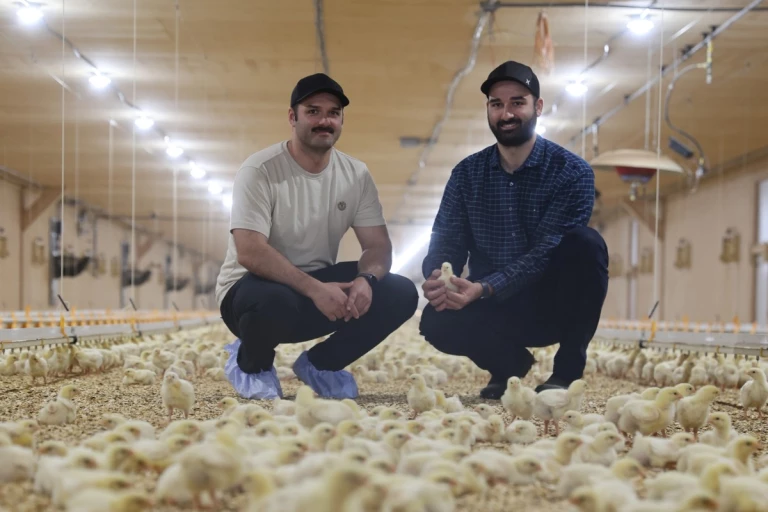 Sébastien et Guillaume Maltais accroupis avec des poussins
