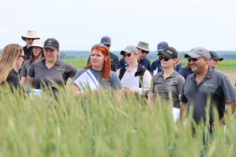 Experts-conseils en formation dans les parcelles de plantes fourragères