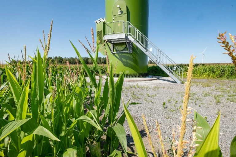 Champ autour d'une éolienne