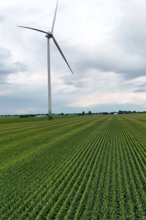 Éolienne dans un champ