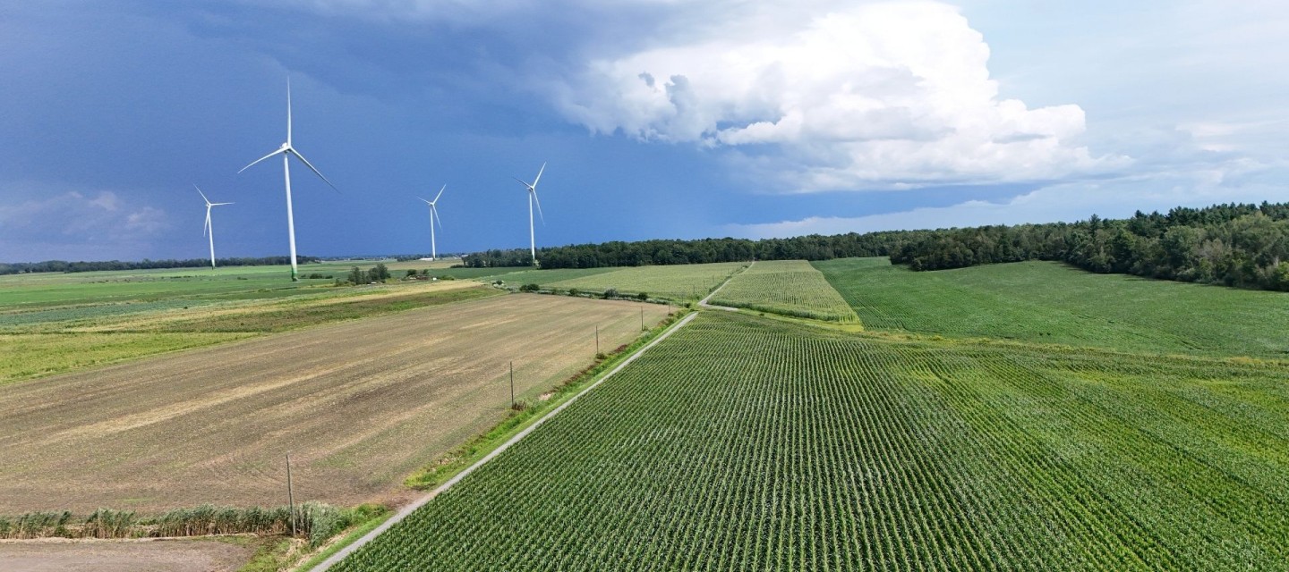 Éoliennes dans un champ