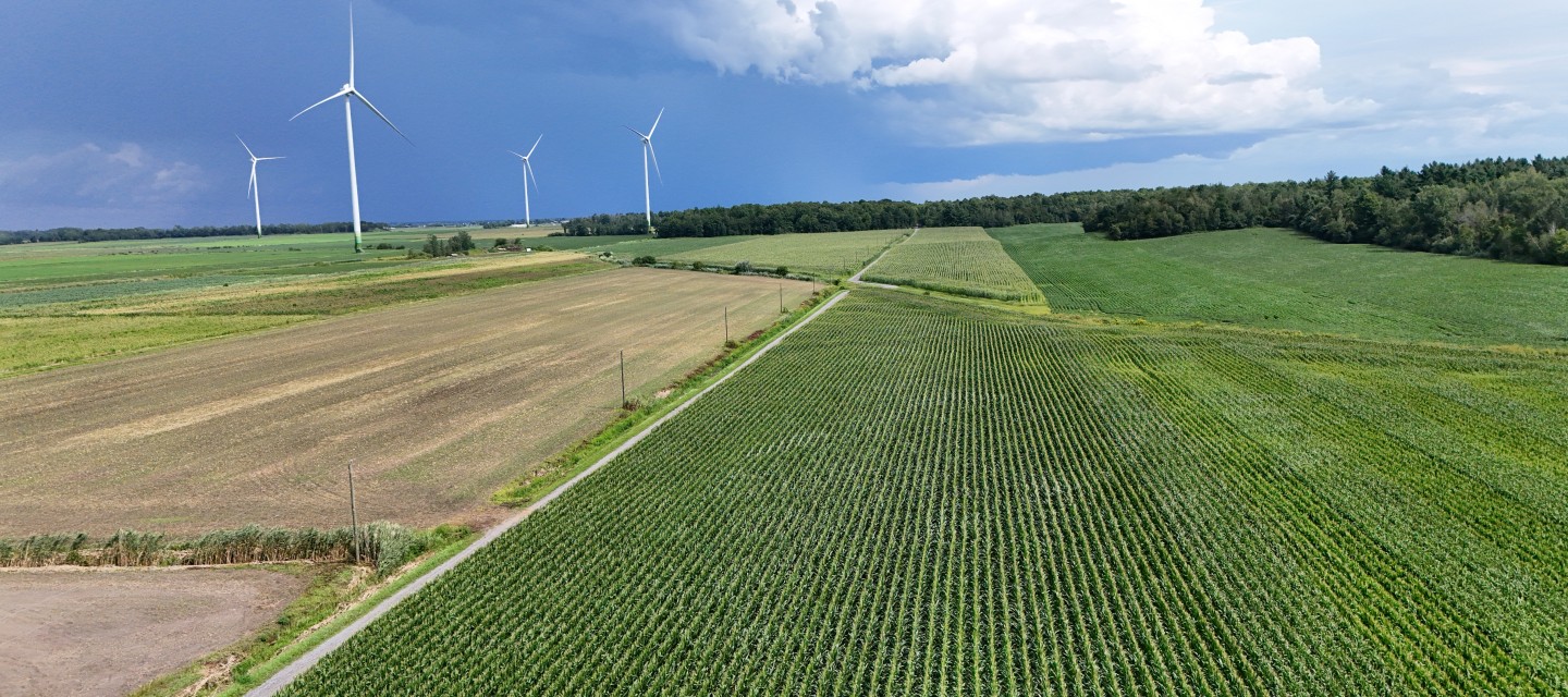 Paysage agricole avec des éoliennes