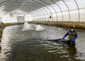 Bassin d'aquaculture