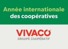 Logo de l'Année internationale des coopératives et logo de VIVACO groupe coopératif
