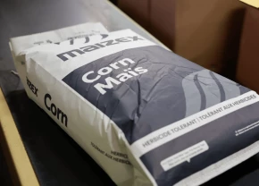 Sac de maïs Semences Maizex