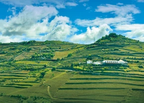 La vallée du Duro au Portugal