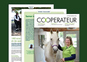 Montage de la nouvelle grille graphique