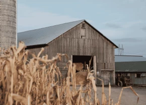 Une grange à foin en automne