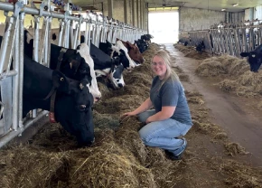 Catherine Vigneault accroupie avec des vaches