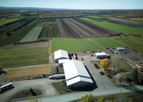 Paysage agricole d'une ferme de laitue