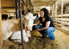 Lawrence Boucher Brière accroupie à côté d'une vache