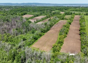 Site du paysage humanidé de l'île-Bizard