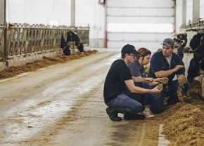 Experte-conseil à la ferme et producteurs