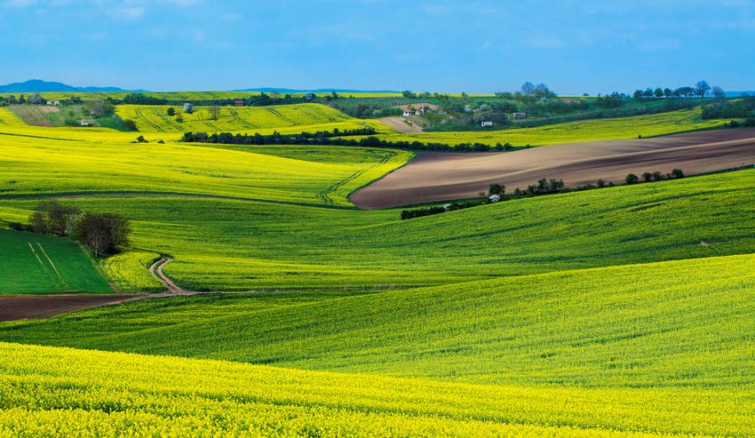 Prix des terres agricoles, facteurs d'influence  Coopérateur